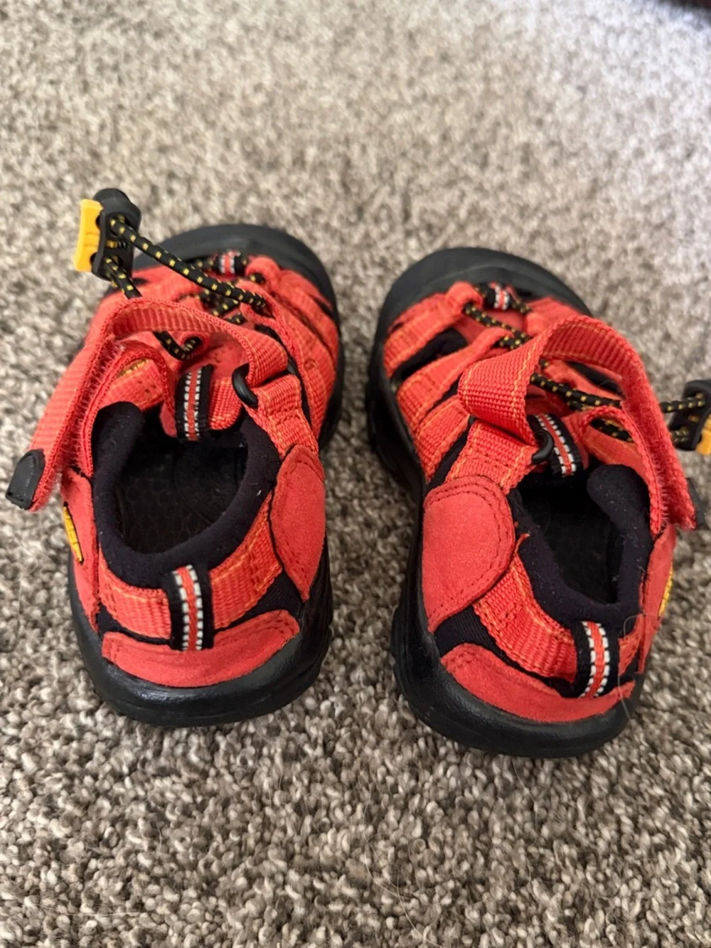 Keen amazing bright